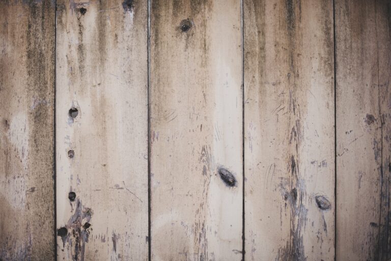 Tapeta deska w domowym zaciszu — jak nadać wnętrzu ciepły i naturalny wygląd?